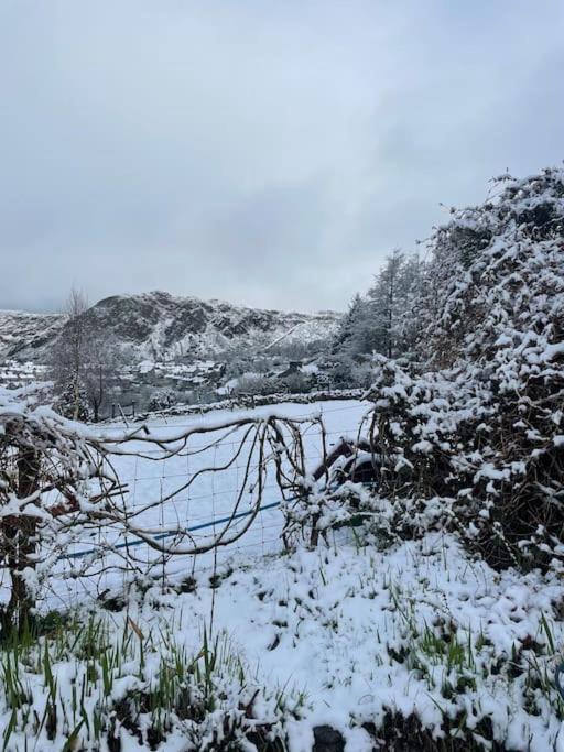 Pen-Y-Bryn Cottage بلايناو-فيستينيوج المظهر الخارجي الصورة